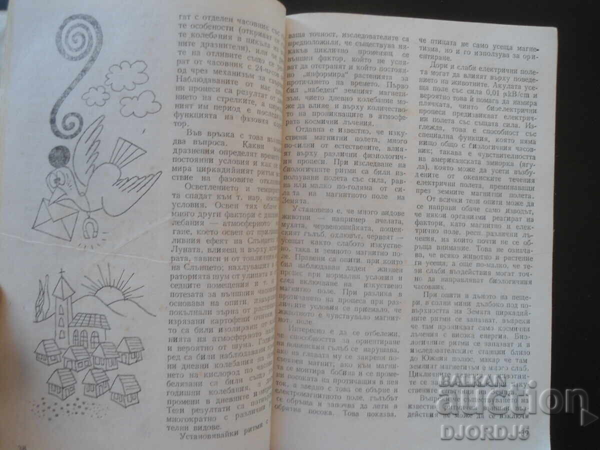 Δημοπρασία Ζωή και Ρυθμός Δημοπρασία Ζωή και Ρυθμός