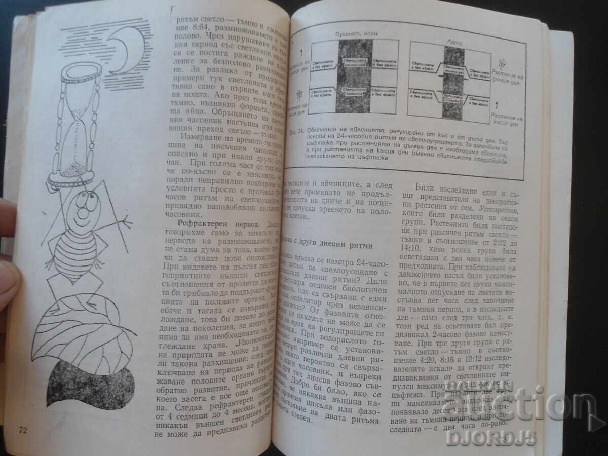 Παράδοση Ζωή και Ρυθμός Παράδοση Ζωή και Ρυθμός