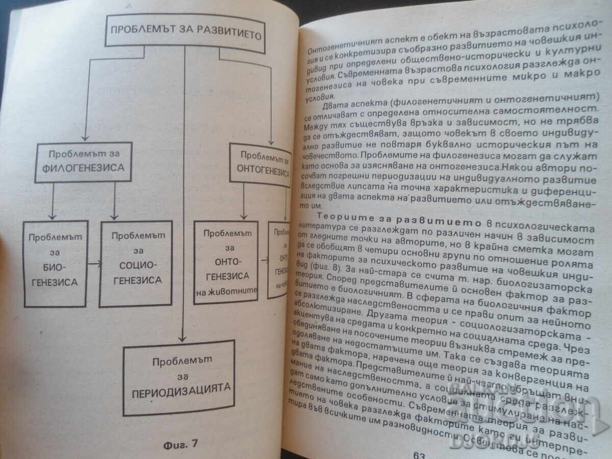 Licitație PSIHOLOGIE, Gerghina Eneva Licitație PSIHOLOGIE, Gerghina Eneva