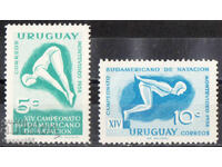 1958. Ουρουγουάη. Πρωτάθλημα κολύμβησης Νότιας Αμερικής, Μοντεβιδέο