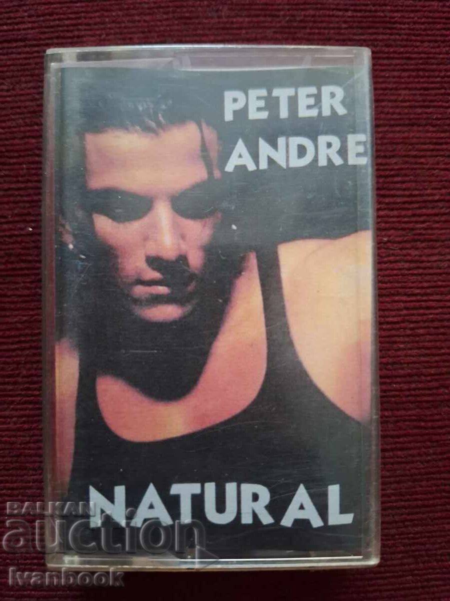 Аудио касета - Peter Andre