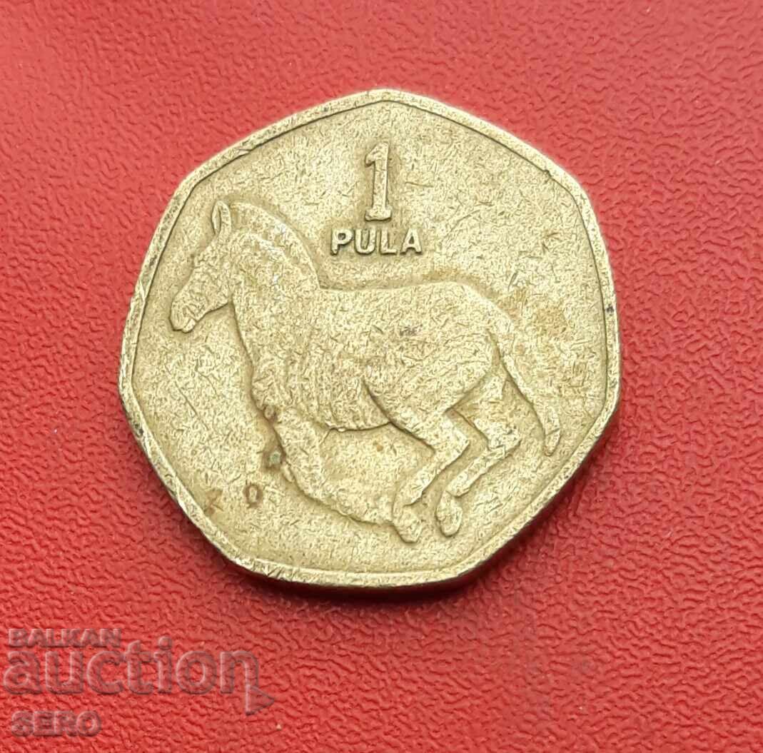 Botswana 1 Pula 2007 Botswana 1 Pula 2007