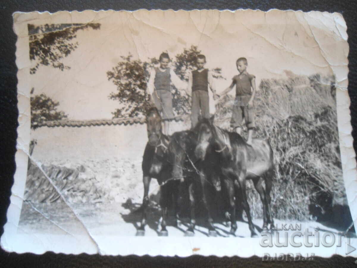 old photo with price 1.00 BGN | € 0.51 old photo with price 1.00 BGN | € 0.51