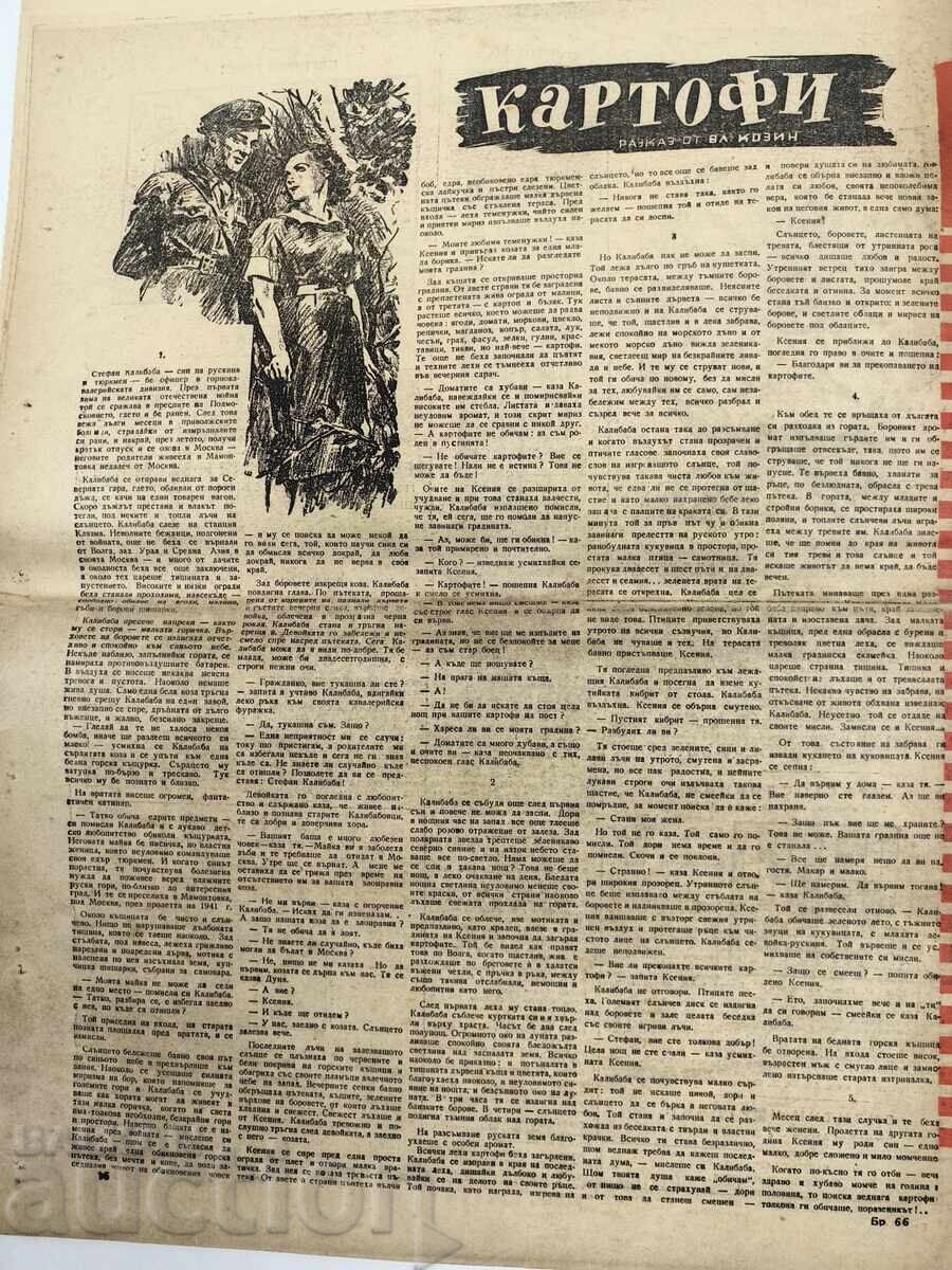 1946 ΣΟΤΣ ΒΕΣΤΝΙΚ ΖΕΜΛΙΑΚ - 7