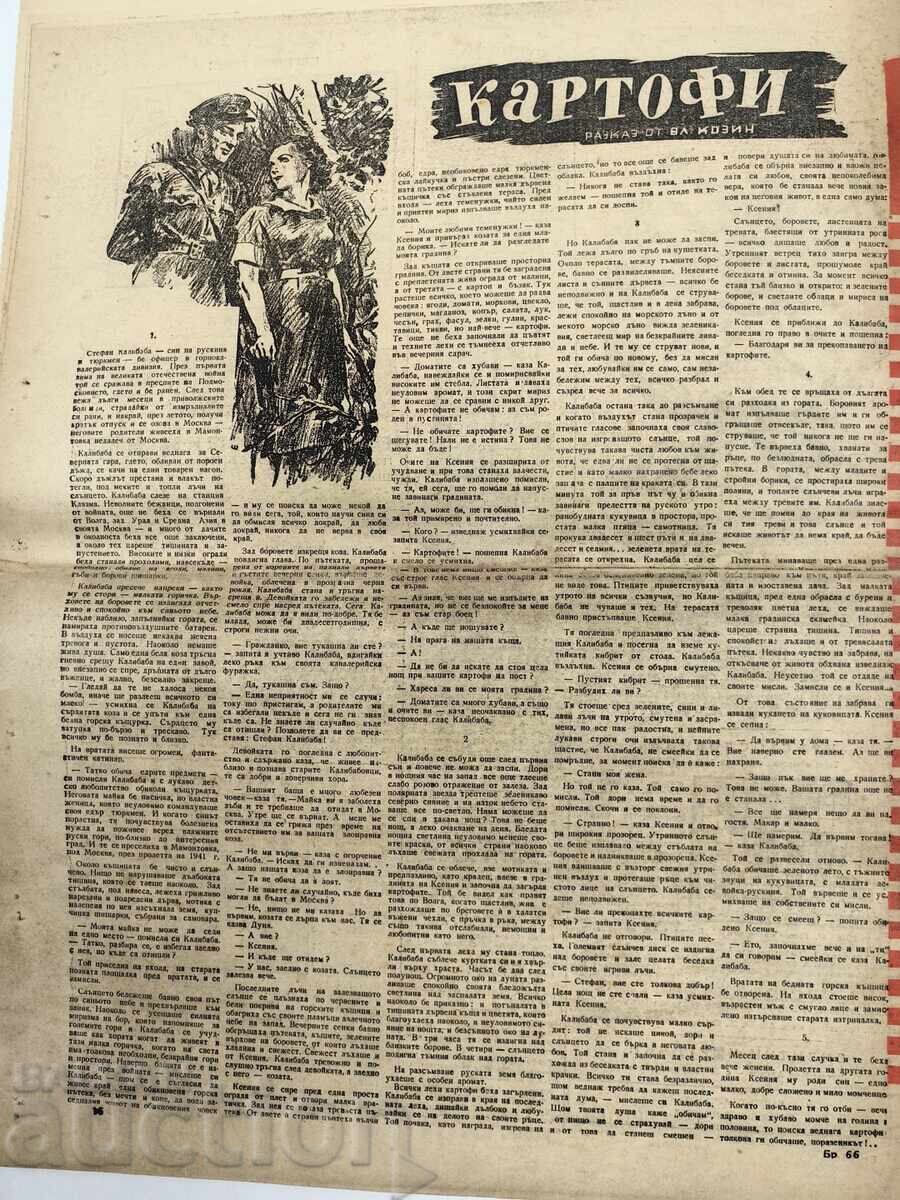 1946 RĂNIND SOC VESTNIC ZEMLYAK - 7