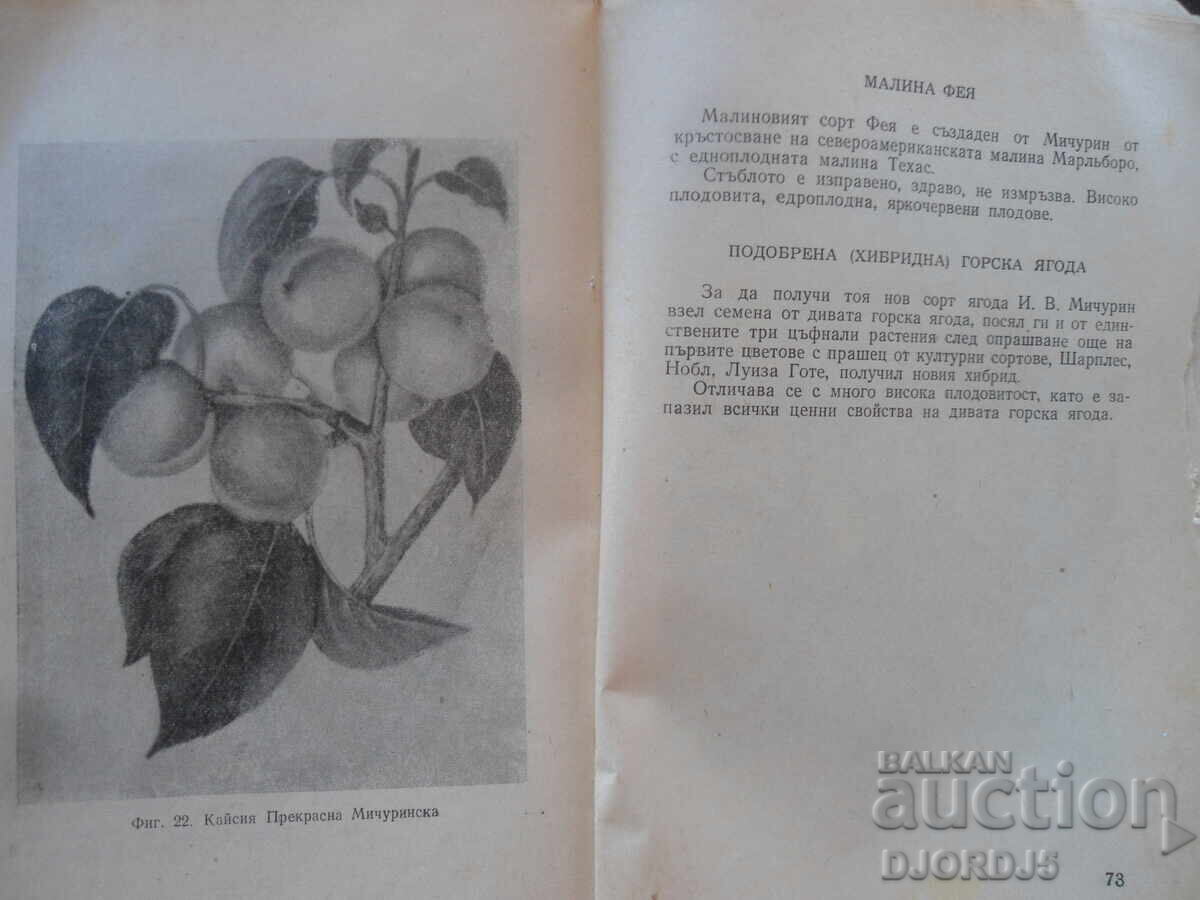 I.V. MICHURIN, Great Transformer of Nature - 6