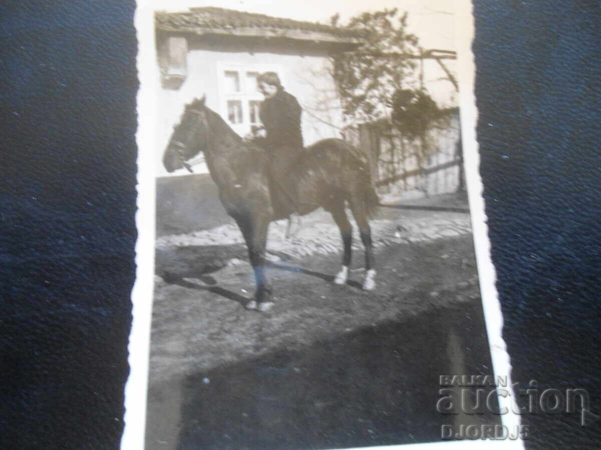 Стара снимка, 21.1.1944 г., с. Виноградецъ Стара снимка, 21.1.1944 г., с. Виноградецъ