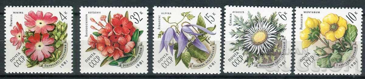 USSR 1981. MnH - Flora, rare plants USSR 1981. MnH - Flora, rare plants