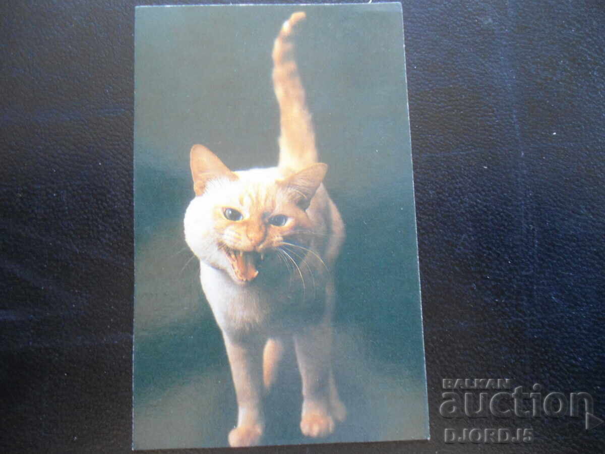 Old Russian calendar, 1993