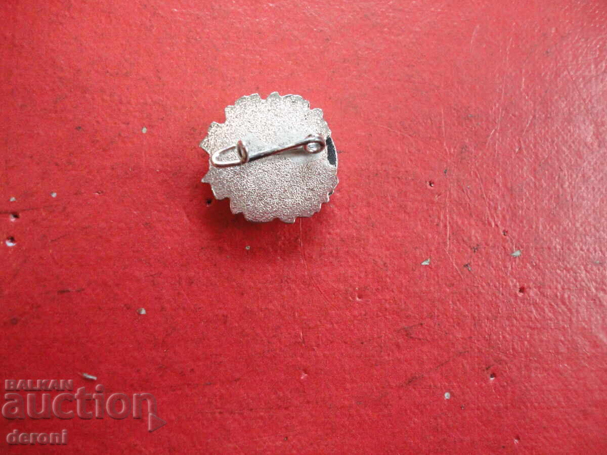 Доставка на Немски знак значка с емайл 23 Доставка на Немски знак значка с емайл 23