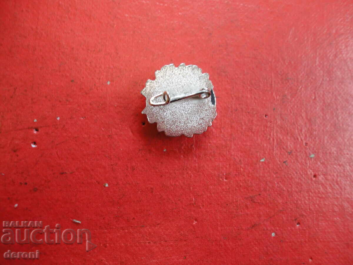 Немски знак значка с емайл 23 - 5 Немски знак значка с емайл 23 - 5