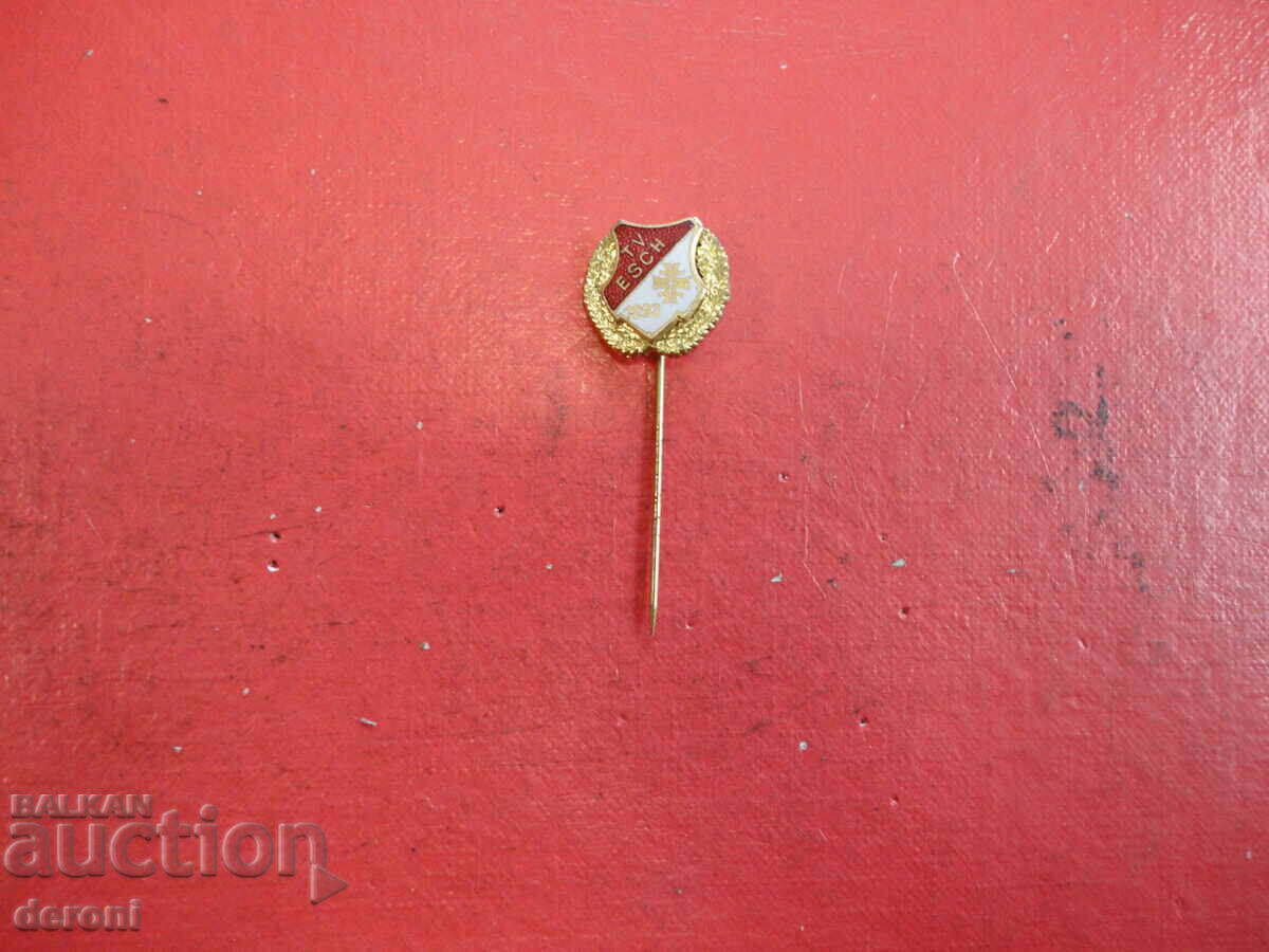 Auction  German Badge with Enamel TV ESCH