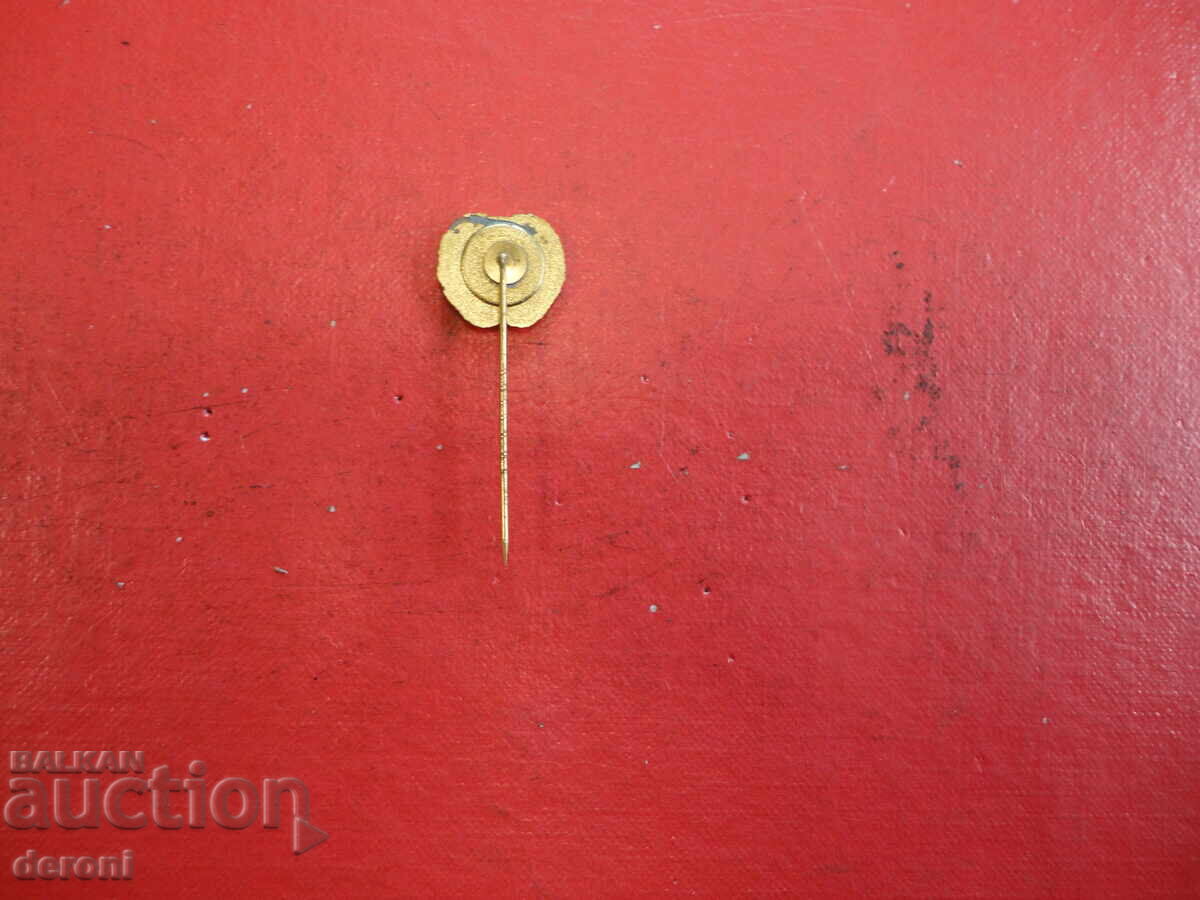 Delivery of German Badge with Enamel TV ESCH