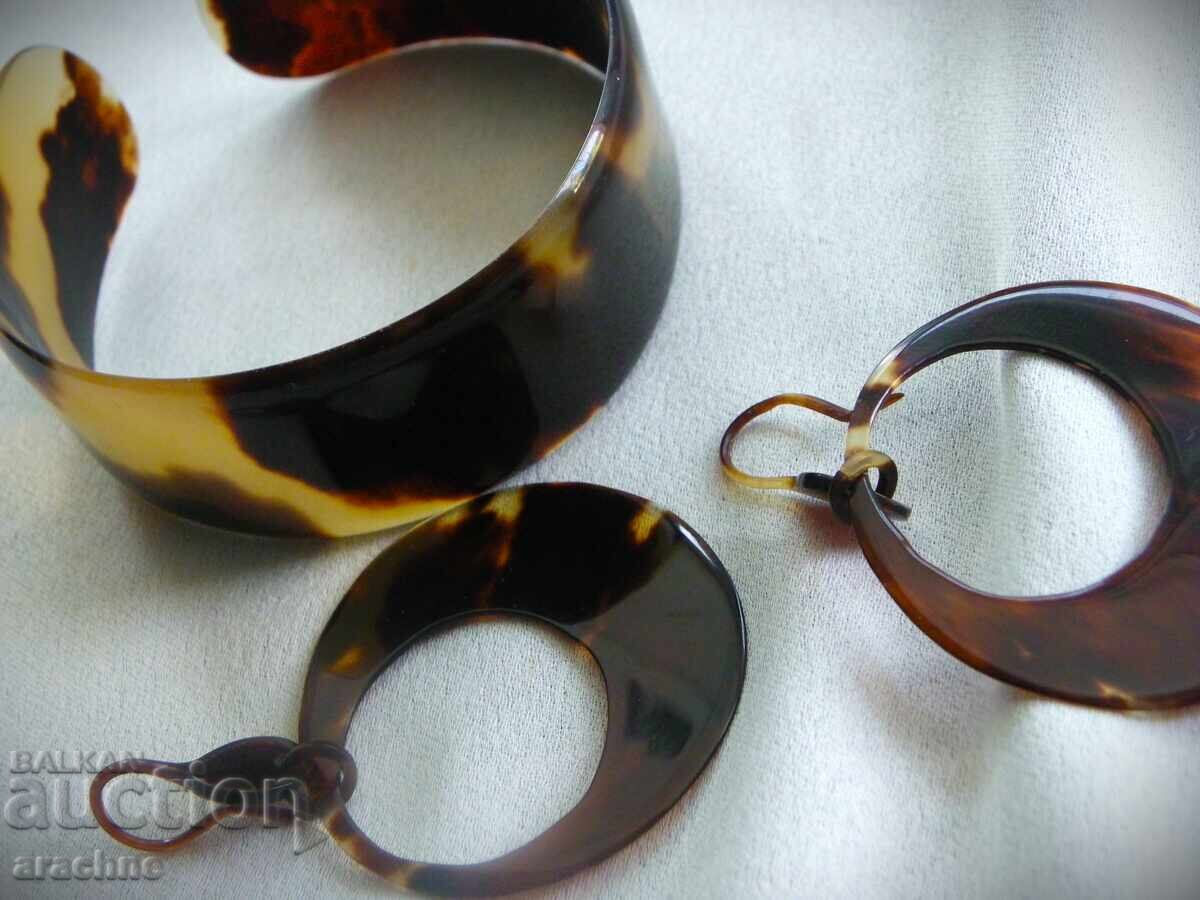 Licitație Set de carapace de broască țestoasă