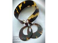 Set de carapace de broască țestoasă