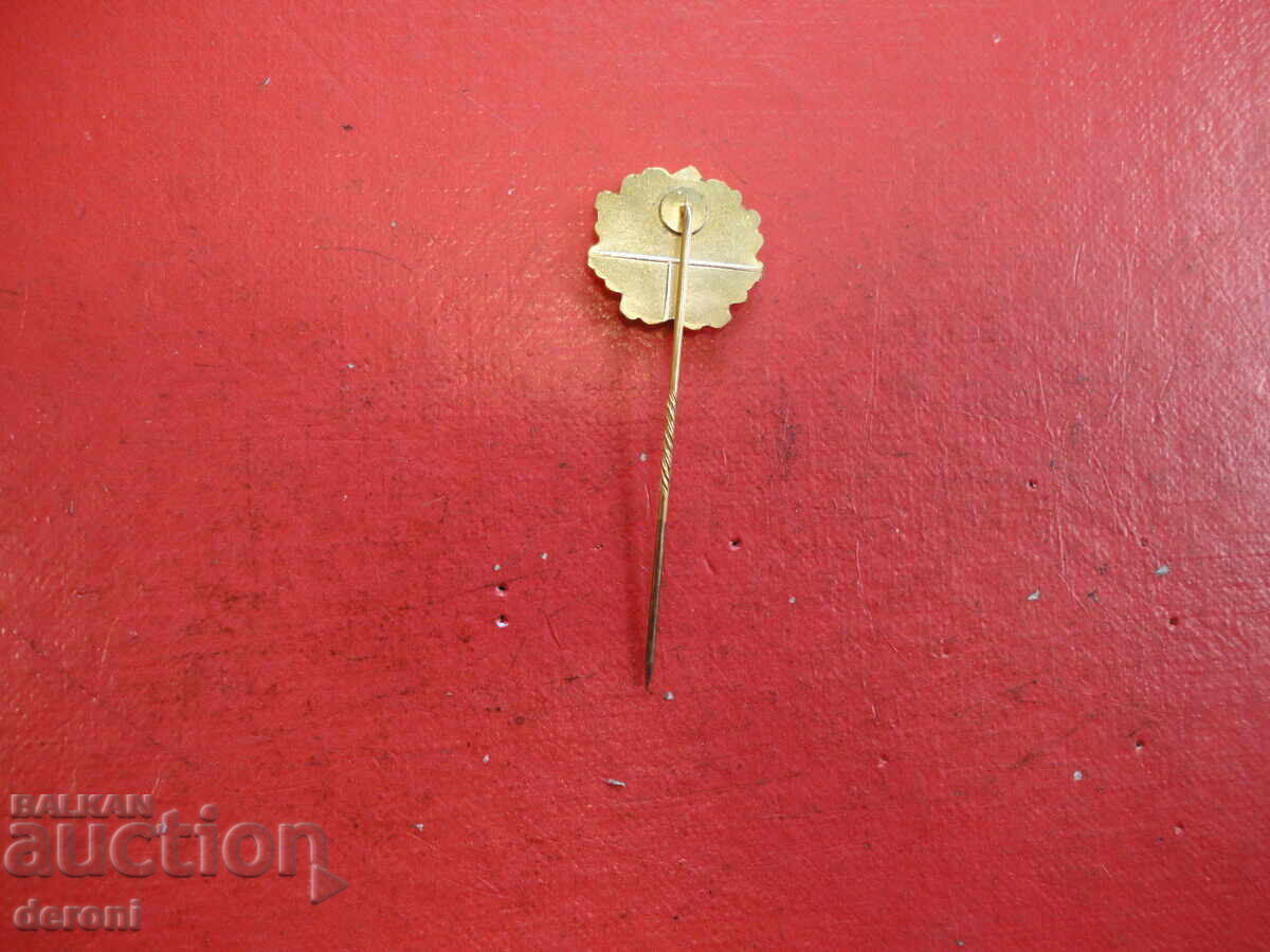 Delivery of German Badge with Enamel TV ESCH 1946