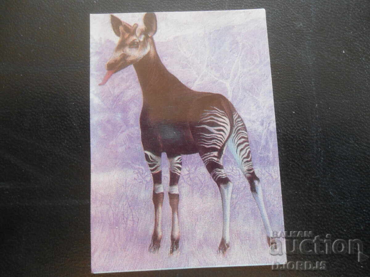 Παλιό βουλγαρικό ημερολόγιο, 1979, Οκαπί