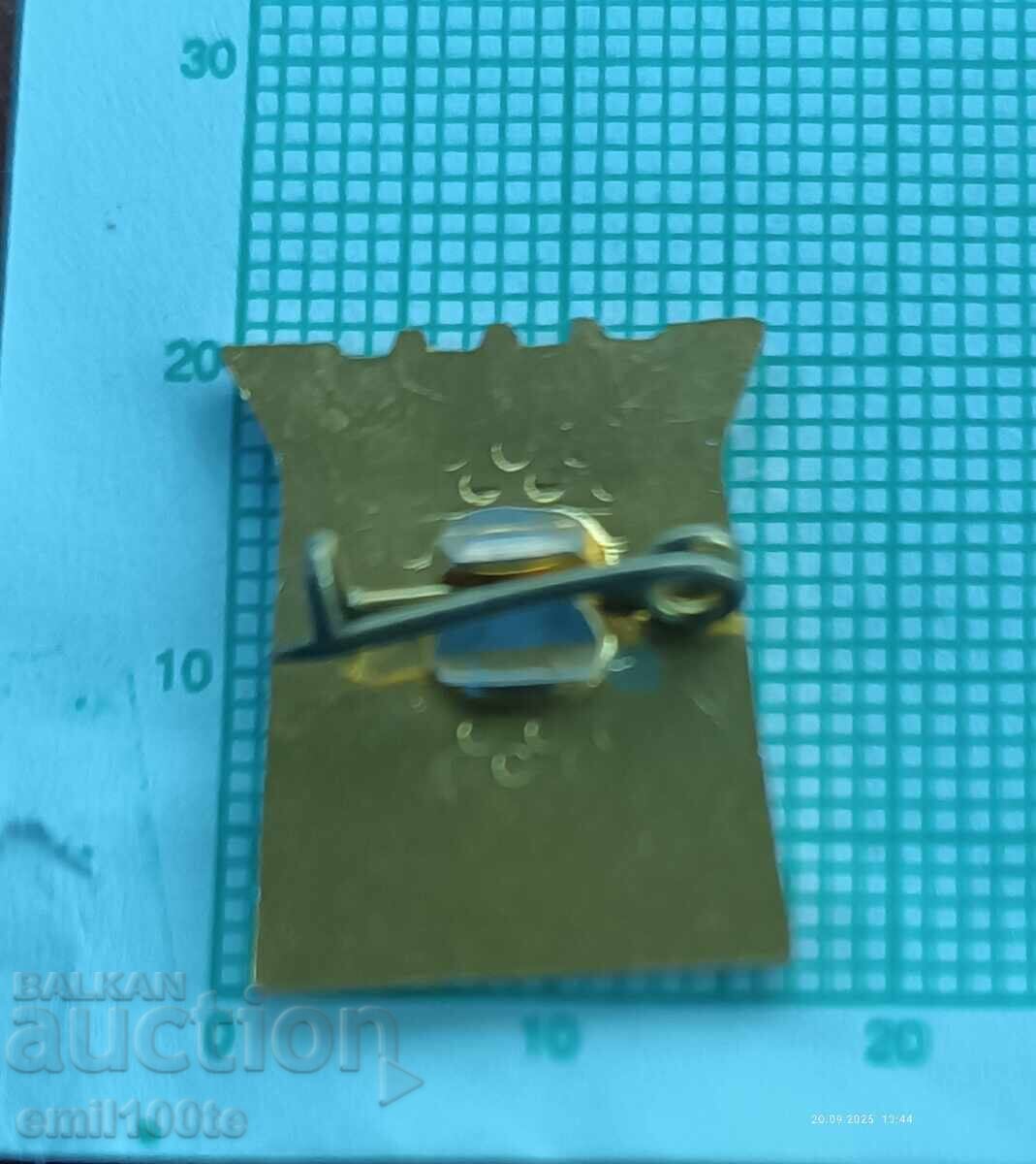 Insigna - Stema din rasina - 5 Insigna - Stema din rasina - 5