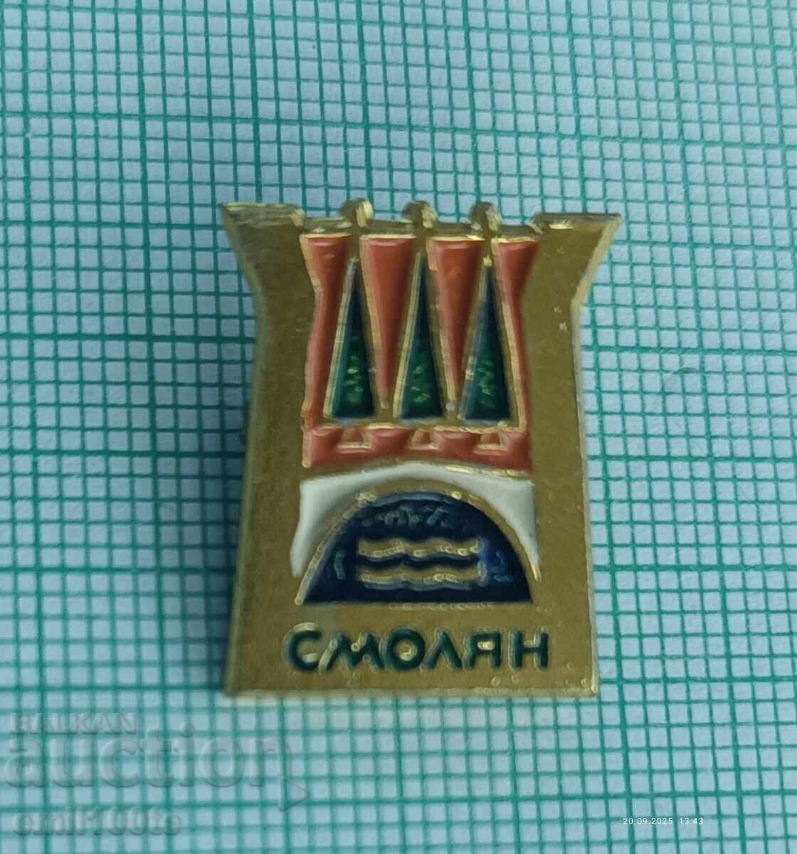 Insigna - Stema din rasina Insigna - Stema din rasina