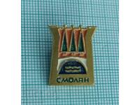 Badge - Resin Coat of Arms