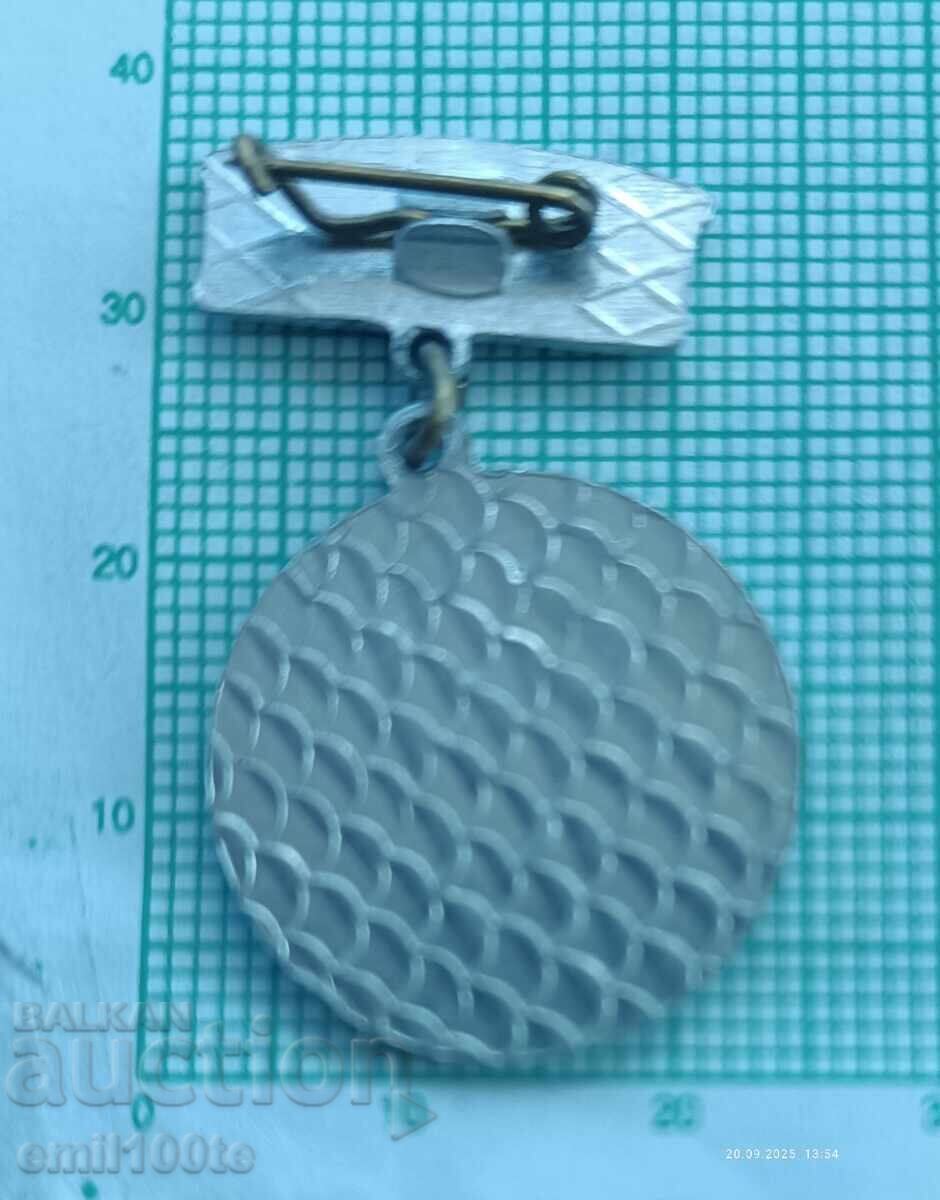 Доставка на Значка- Спортен многобой Родина Изпълнил отлично