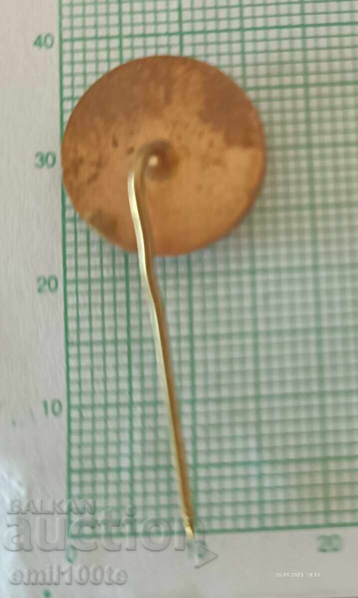 Значка- БГА Балкан с цена 1.00 лв. | € 0.51