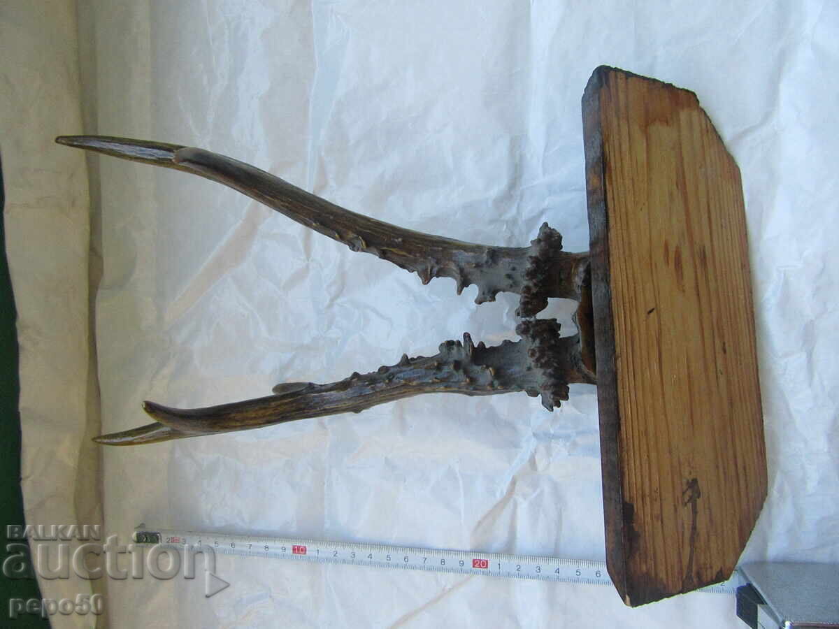 Deer Antlers - Early Socialist Era with price 35.00 BGN | € 17.90