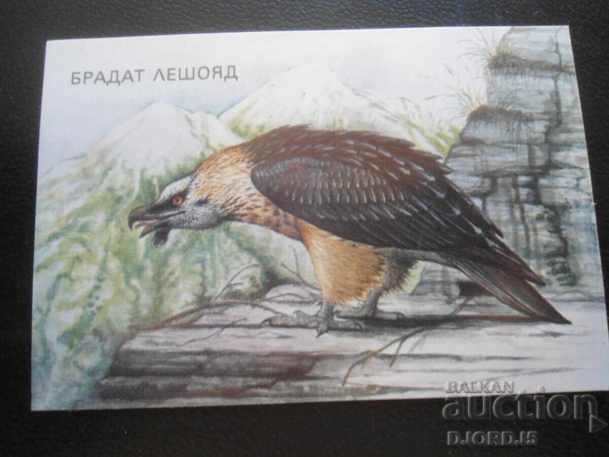 Calendar vechi bulgăresc, 1988, Vulturul bărbos