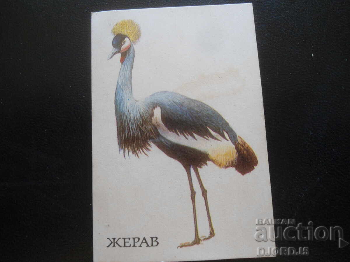 Calendar vechi bulgăresc, 1990, Jerav