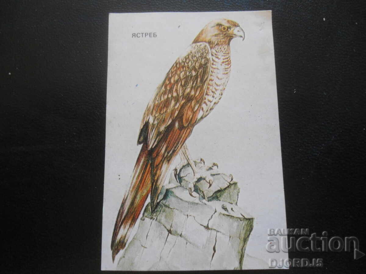 Old Bulgarian Calendar, 1985, Hawk