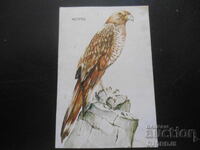 Calendar vechi bulgăresc, 1985, Yastreb