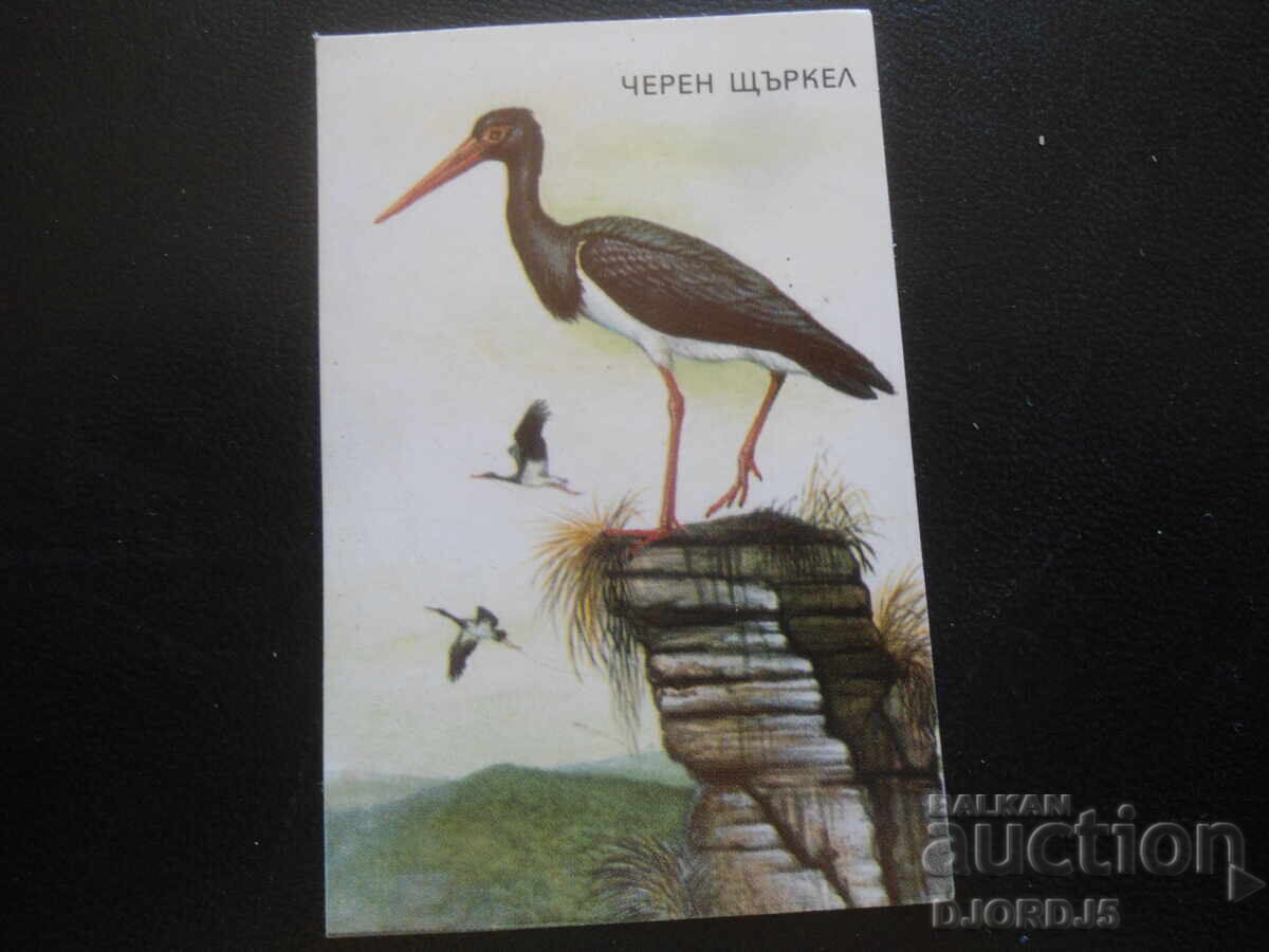 Calendar vechi bulgăresc, 1988, Barză neagră