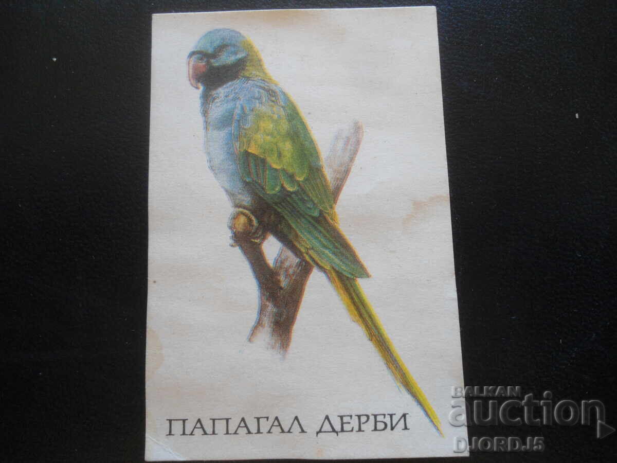 Calendar vechi bulgăresc, 1990, Papagal Derby