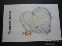 Παλιό βουλγαρικό ημερολόγιο, 1991, Παουνέστ γκάλουμπ