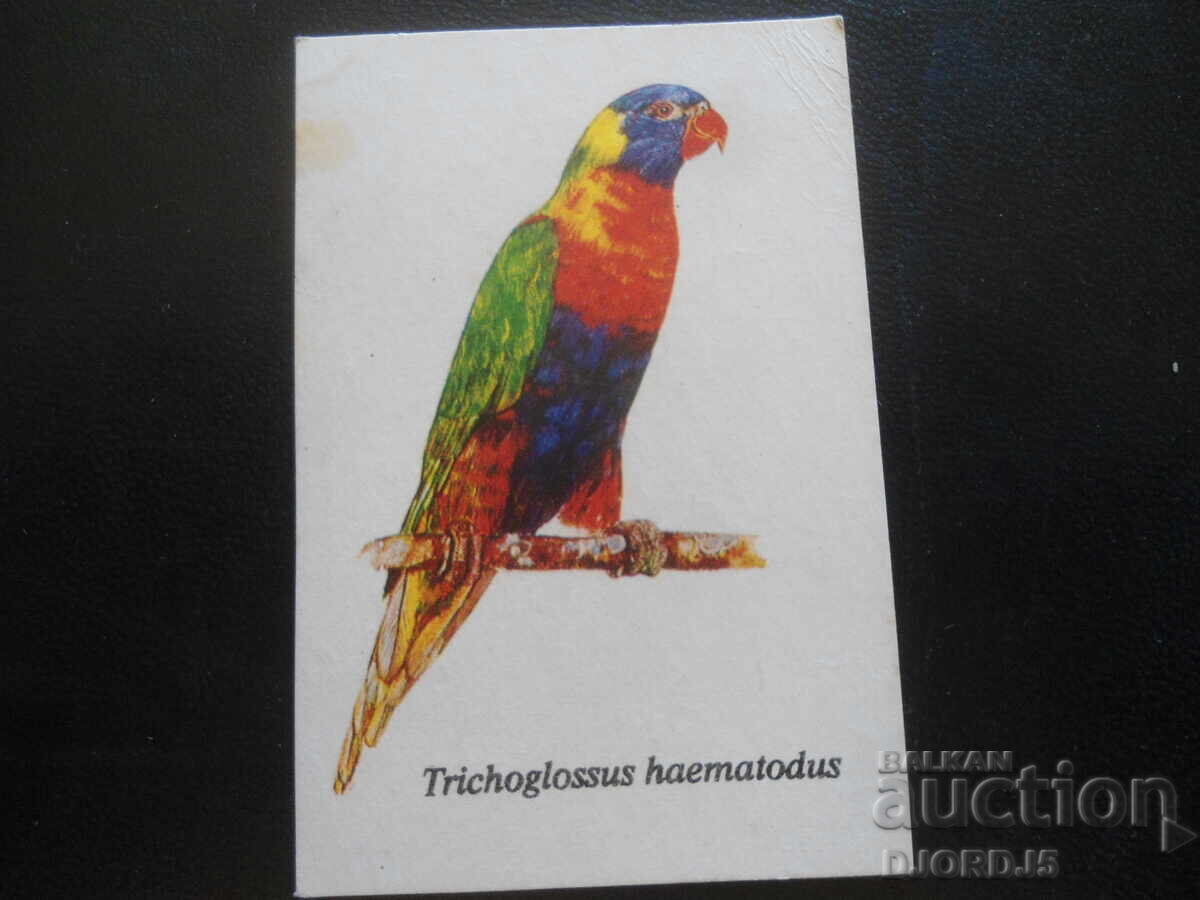 Παλιό βουλγαρικό ημερολόγιο, 1989