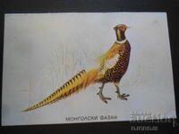 Παλιό βουλγαρικό ημερολόγιο, 1984, Μογγολικός φασιανός
