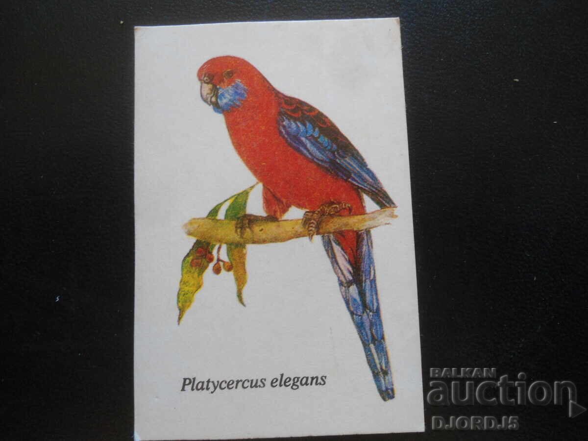 Παλιό βουλγαρικό ημερολόγιο, 1989