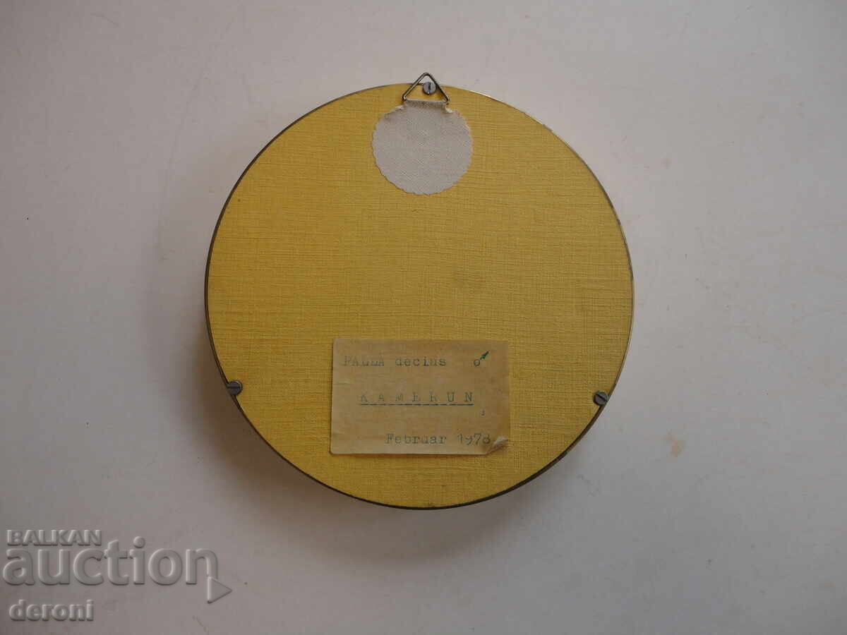 Аукцион Страхотна арт картина пеперуда хербарий 5 Аукцион Страхотна арт картина пеперуда хербарий 5