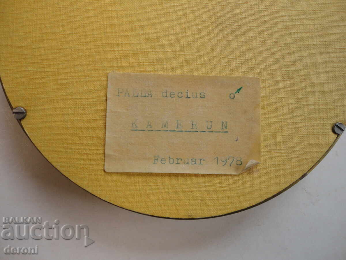 Доставка на Страхотна арт картина пеперуда хербарий 5 Доставка на Страхотна арт картина пеперуда хербарий 5