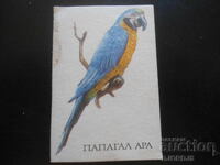 Calendar vechi bulgăresc, 1990, Papagal Ara