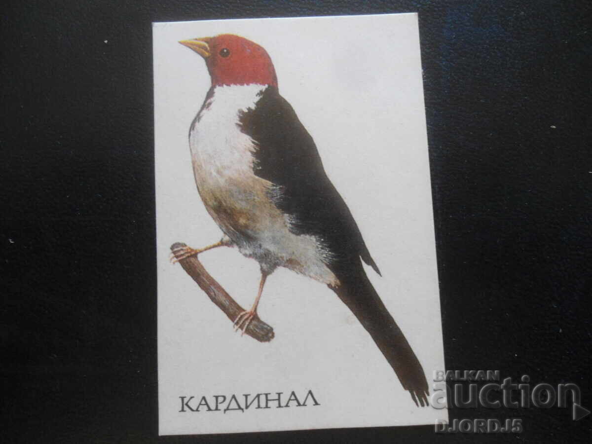 Calendar vechi bulgăresc, 1990, Cardinal