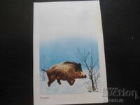 Calendar vechi bulgăresc, 1984, Mistreț