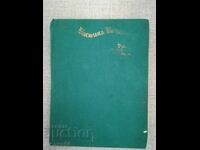 Vasilisa cea Frumoasă / Povești Magice Rusești