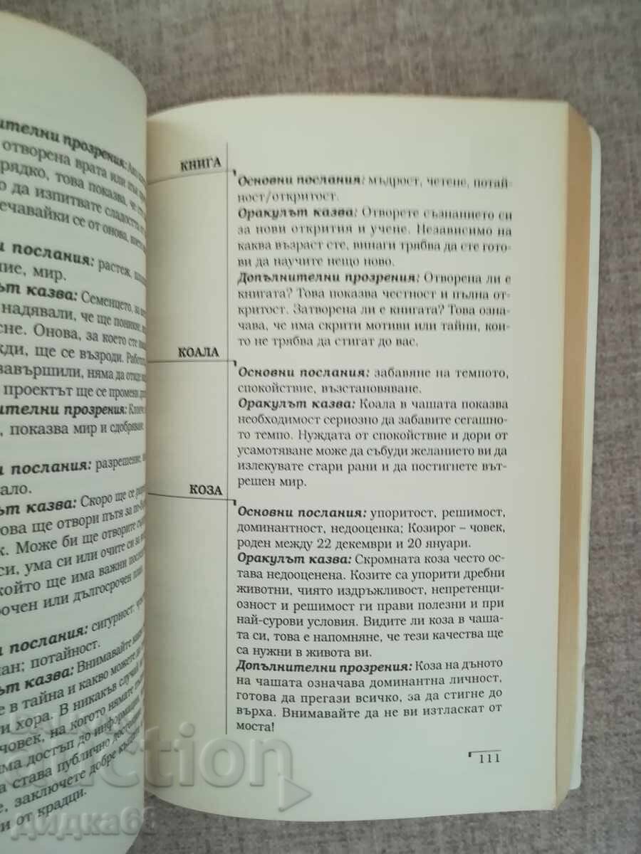 Oracle Cafe / Coffee Reading Handbook / Stacey Demarco - 5