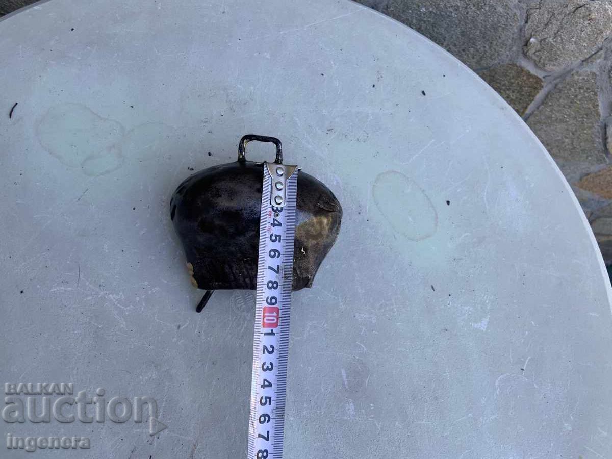 BOY CHAN THUMBELEK with price 28.00 BGN | € 14.32 BOY CHAN THUMBELEK with price 28.00 BGN | € 14.32