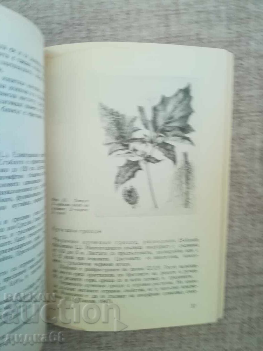 Using Plants to Combat Pests in Agriculture - 5