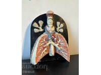 Social Anatomical Model of the Respiratory System