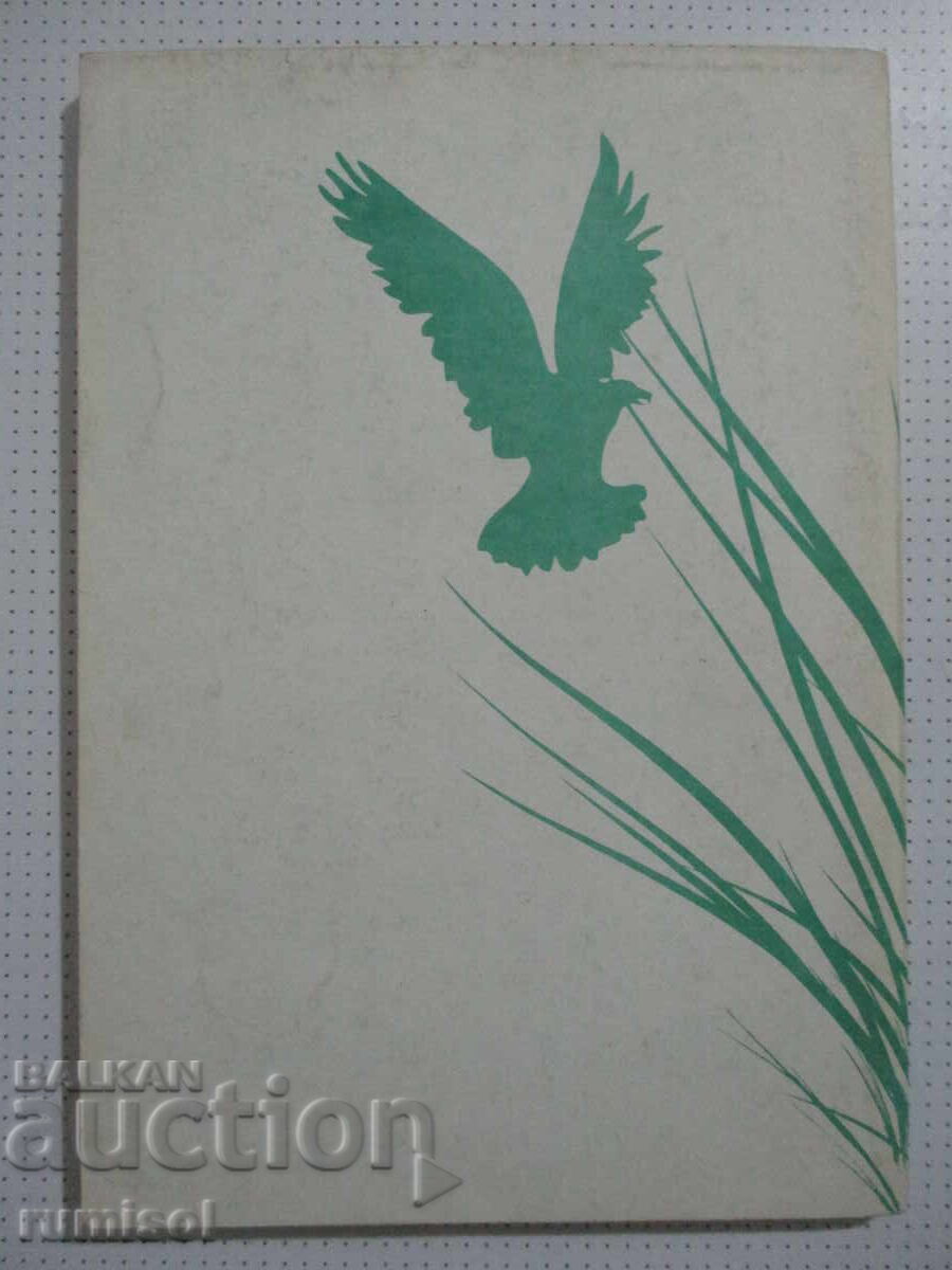 Argint '94 - Colecție - 6