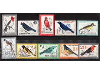 1962. Ουρουγουάη. Αεροπορικό Ταχυδρομείο - Πουλιά