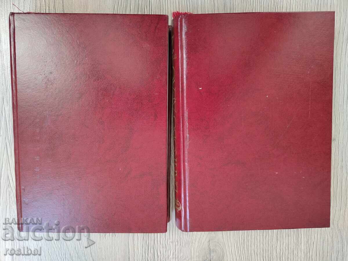 Δημοπρασία Βασικές αρχές τραπεζικής σε 2 τόμους